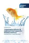 Toxicological Effects Of Cadmium And Copper On  Esomus Danricus