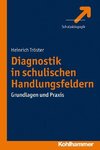 Diagnostik in schulischen Handlungsfeldern