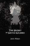 The Secret of Castle Kildare