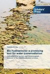 Bio-hydrozincite: a promising tool for water bioremediation