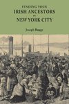 Finding Your Irish Ancestors in New York City