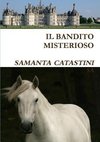 IL BANDITO MISTERIOSO