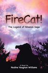 FireCat!