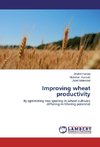 Improving wheat productivity