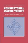 Combinatorial Matrix Theory