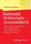 Mathematik für Wirtschaftswissenschaftler III