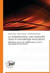 La mitochondrie, une sentinelle dans le remodelage musculaire