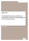 Der Minderheitenschutz im Recht der Europäischen Union in Zusammenhang mit der EU-Osterweiterung