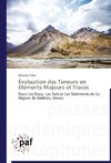 Évaluation des Teneurs en Eléments Majeurs et Traces