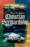 What in the World is Christian Stewardship