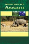 Amazing North East - Assam