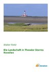 Die Landschaft in Theodor Storms Novellen