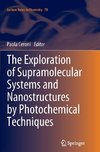 The Exploration of  Supramolecular Systems and Nanostructures by Photochemical Techniques