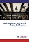 Hydrodynamics Of Foaming Trickle Bed Reactors