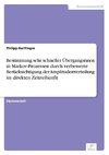 Bestimmung sehr schneller Übergangsraten in Markov-Prozessen durch verbesserte Berücksichtigung der Amplitudenverteilung im direkten Zeitreihenfit