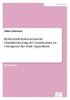 Hydraulisch-hydrochemische Charakterisierung der Grundwasser im Untergrund der Stadt Oppenheim