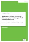 Betriebswirtschaftliche Aspekte der Nutzung regenerativer Energien durch einen Industriebetrieb