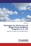 Strategies for Production of Single Chain Antibody Fragment in E. coli