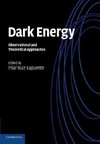 Dark Energy