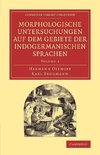 Morphologische Untersuchungen Auf Dem Gebiete Der Indogermanischen Sprachen