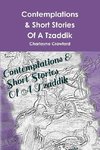 Contemplations & Short Stories of a Tzaddik