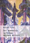 Der Wanderer zwischen beiden Welten