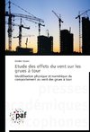 Etude des effets du vent sur les grues à tour