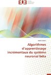 Algorithmes d'apprentissage incrémentaux du système neuronal bêta