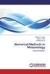 Numerical Methods in Meteorology