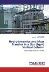 Hydrodynamics and Mass Transfer in a Gas-Liquid Vertical Column