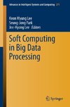 Soft Computing in Big Data Processing