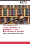 Juicio Ordinaio. La Audiencia Previa. Excepciones a plantear