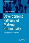 Development Patterns of Material Productivity