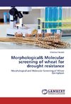 Morphological& Molecular screening of wheat for drought resistance