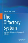 The Olfactory System