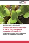 Obtención de adsorbentes a partir de Eichhornia crassipes (camalote)