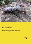 Entomologische Blätter