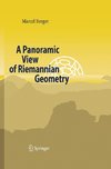 A Panoramic View of Riemannian Geometry