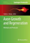 Axon Growth and Regeneration