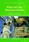 Pilze bei der Baumkontrolle