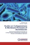 Studies on Carbapenemase & Membrane Proteome of Acinetobacter