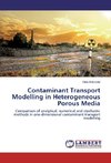 Contaminant Transport Modelling in Heterogeneous Porous Media