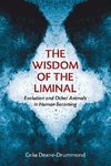 Wisdom of the Liminal