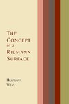 The Concept of a Riemann Surface