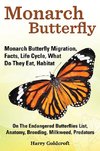 Monarch Butterfly, Monarch Butterfly Migration, Facts, Life Cycle, What Do They Eat, Habitat, Anatomy, Breeding, Milkweed, Predators