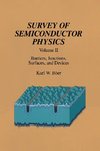 Survey of Semiconductor Physics