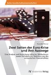 Zwei Seiten der Euro-Krise und ihre Auswege