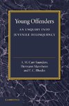 Young Offenders