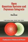 Open Quantum Systems and Feynman Integrals