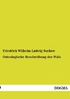 Osteologische Beschreibung des Wals